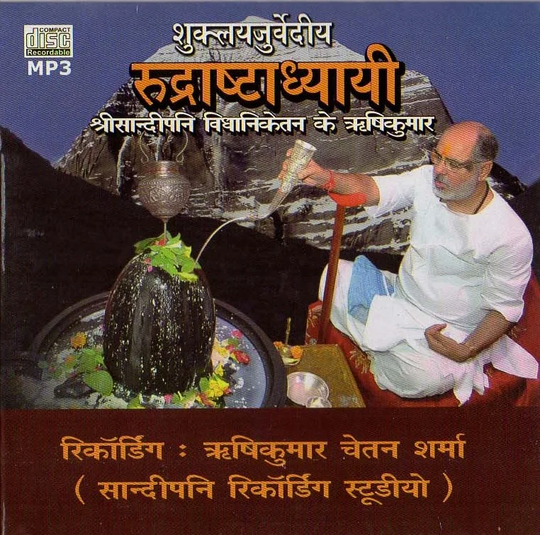 Rudrashtadhyayi