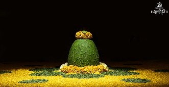 Shravan Shrinagar Darshan