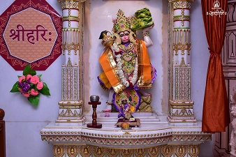 Shri Hari Mandir Patotsav